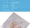 Dental Vacuum Former Forming