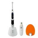 B-cure Plus