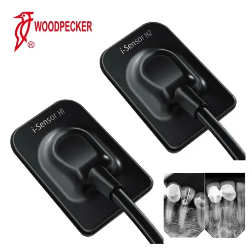 I- Sensor Woodpecker 