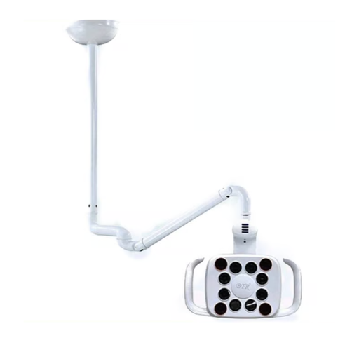 Lamp Celing Model 25#